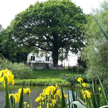 La Maison De L'etang Ploerdut